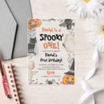 Spooky One Halloween Ghost 1st Birthday Vellum Invitations<br><div class="desc">👻🎃 Spooky One – Halloween Ghost 1st Birthday Vellum Invitations 🕸️✨ Celebrate your little one’s first birthday with a spooky-cute twist! 👻🎀 These adorable vellum invitations feature a whimsical ghost and Halloween theme, perfect for a fun and festive birthday bash. Ideal for costume parties, trick-or-treat fun, and magical first birthday...</div>