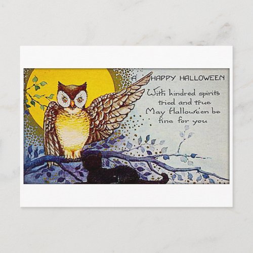 Spooky Owl Vintage Halloween Postcard