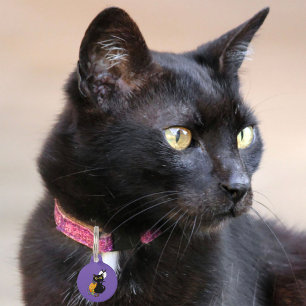 Spooky Purple Cute Black Cat Halloween Pumpkin Pet ID Tag