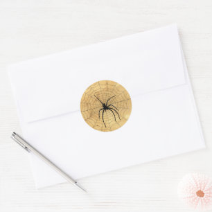Spooky Spider and Web on Tan Grunge Background Classic Round Sticker