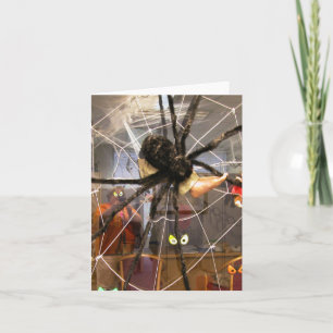 Spooky Spider Halloween Office Decorations Photo Card