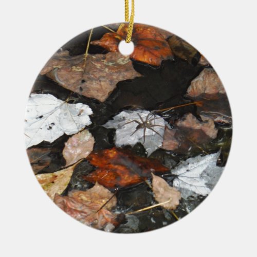 Spooky Spider on floating fall leaves on water Ceramic Ornament