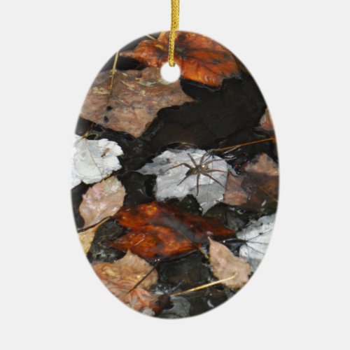 Spooky Spider on floating fall leaves on water Ceramic Ornament