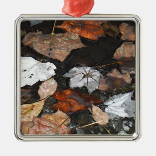 Spooky Spider on floating fall leaves on water Metal Ornament