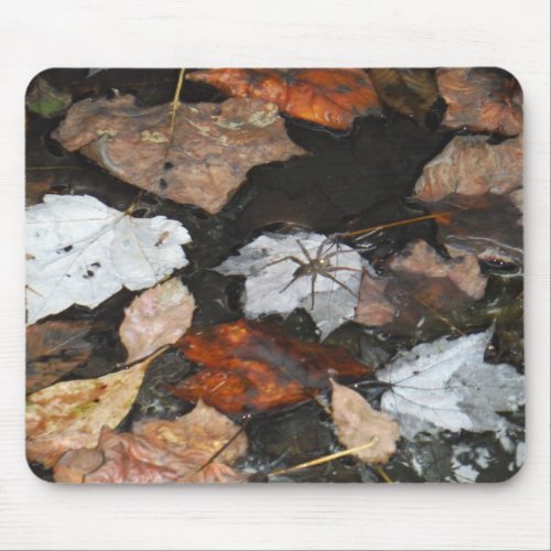 Spooky Spider on floating fall leaves on water Mouse Pad