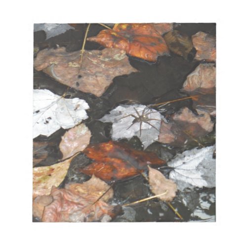 Spooky Spider on floating fall leaves on water Notepad