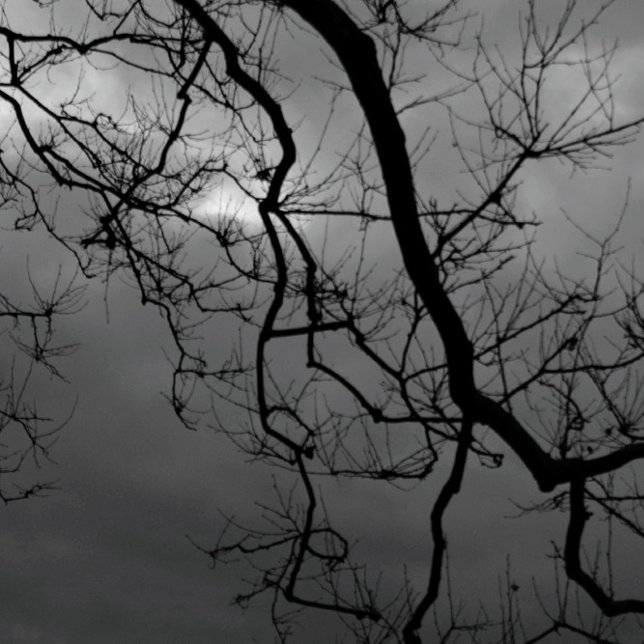 SPOOKY TREES HAPPY HALLOWEEN Folded Greeting Card (Creator Uploaded)