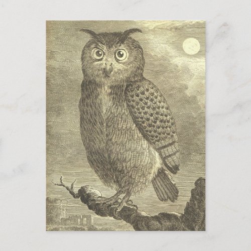 Spooky Vintage Halloween Eagle Owl Postcard