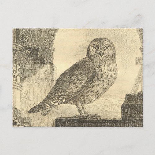 Spooky Vintage Halloween Owl Postcard