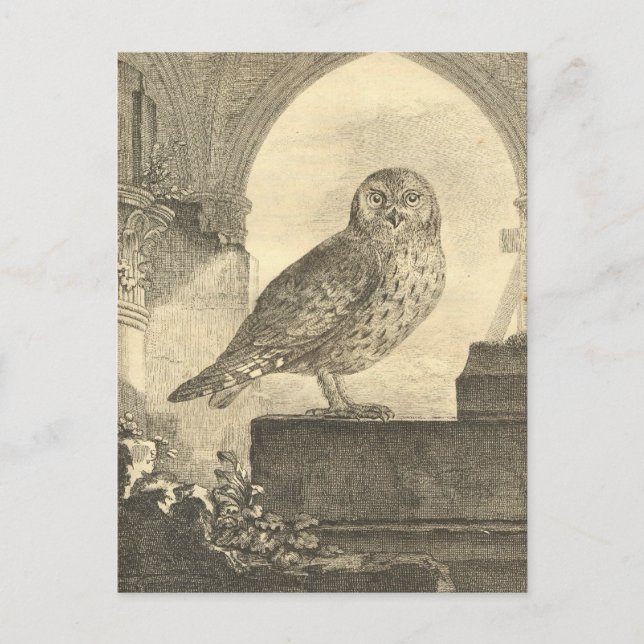 Spooky Vintage Halloween Owl Postcards (Front)