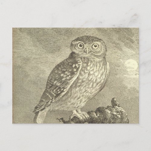 Spooky Vintage Screech Owl Halloween Greeting Card