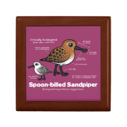 Spoon-billed Statistics Small Gift Box 5.125