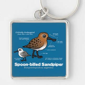 Spoon-billed Sandpiper Statistics Keychain
