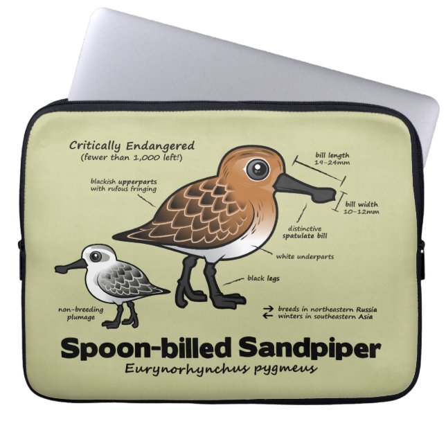 Spoon-billed Sandpiper Statistics Laptop Sleeve (Front)