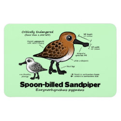 Spoon-billed Statistics 4