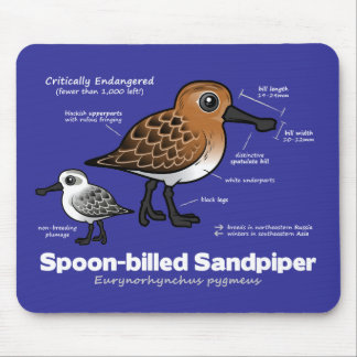 Spoon-billed Sandpiper Statistics Mouse Pad