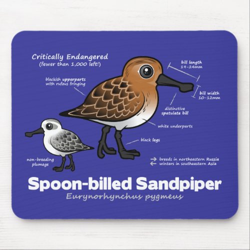 Spoon_billed Sandpiper Statistics Mouse Pad