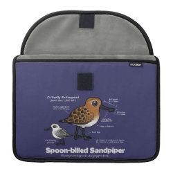 Spoon-billed Statistics Rickshaw Macbook Pro 13
