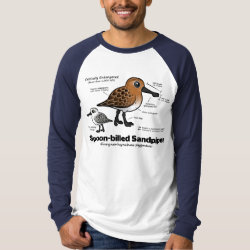 Spoon-billed Statistics Men's Canvas Long Sleeve Raglan T-Shirt