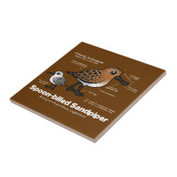 Spoon-billed Statistics Small Ceremic Tile (4.25