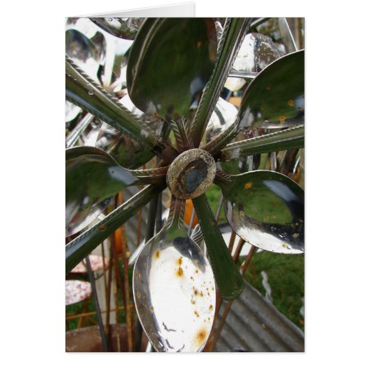 Spoon Flower Cards (Front)