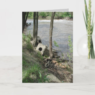 Spoon River Dam Ruins Card