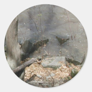 Spoon River Shadows Classic Round Sticker