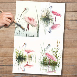 Spoonbill Collage 2 Decoupage Paper