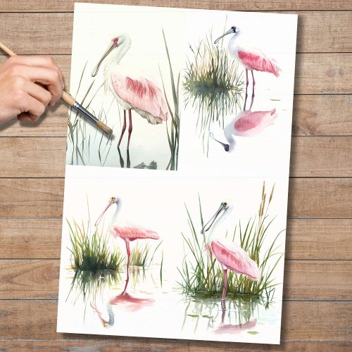 Spoonbill Collage 2 Decoupage Paper