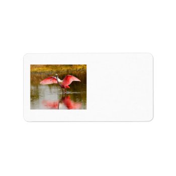 Spoonbill Label by WorldDesign at Zazzle