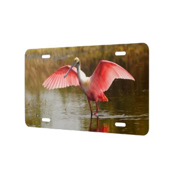 Spoonbill License Plate by WorldDesign at Zazzle