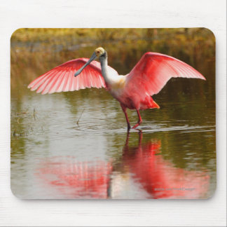 Spoonbill Mouse Pad