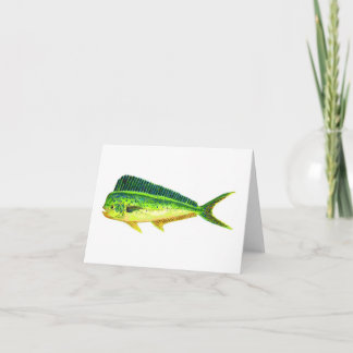 SPORTFISH NOTE CARDS