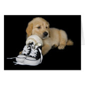 Sport's Fan (Front Horizontal)