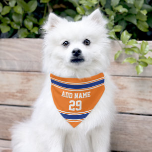 Sports Jersey Design with Dog Name blue orange Pet Bandana Collar