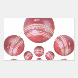 Sports Lover’s Cricket Ball Print Rectangular Sticker