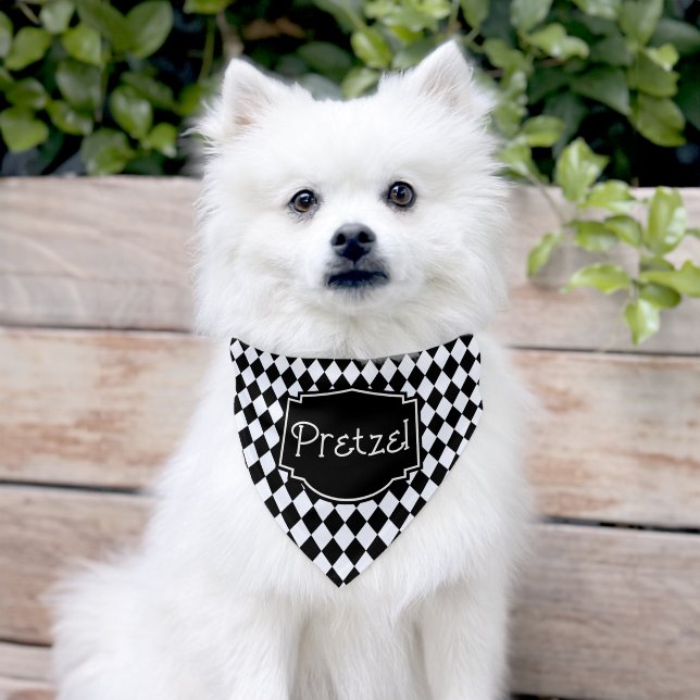 Sporty and Whimsical Personalized Pet Bandana Coll Collar (Dog)