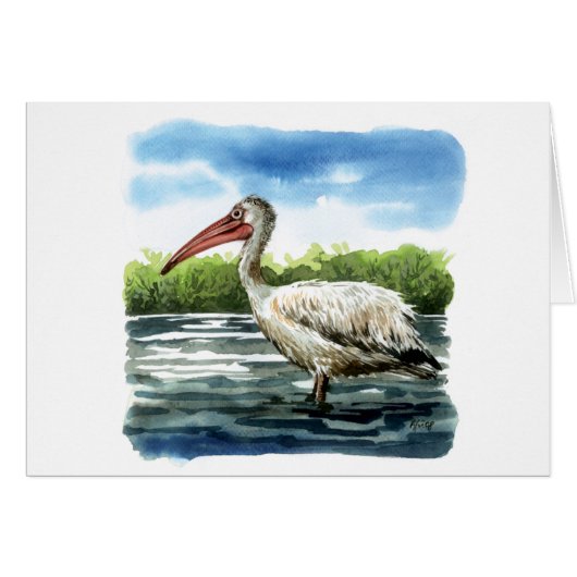 Spot billed pelican cards (Front Horizontal)