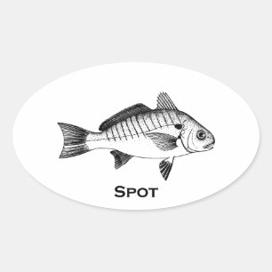 Spot Fish (titled) Oval Sticker