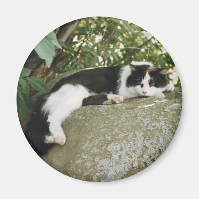 Spot Magnet (Front)