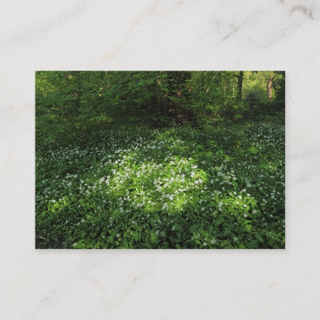 Spot of Garlic Business Card (Front)