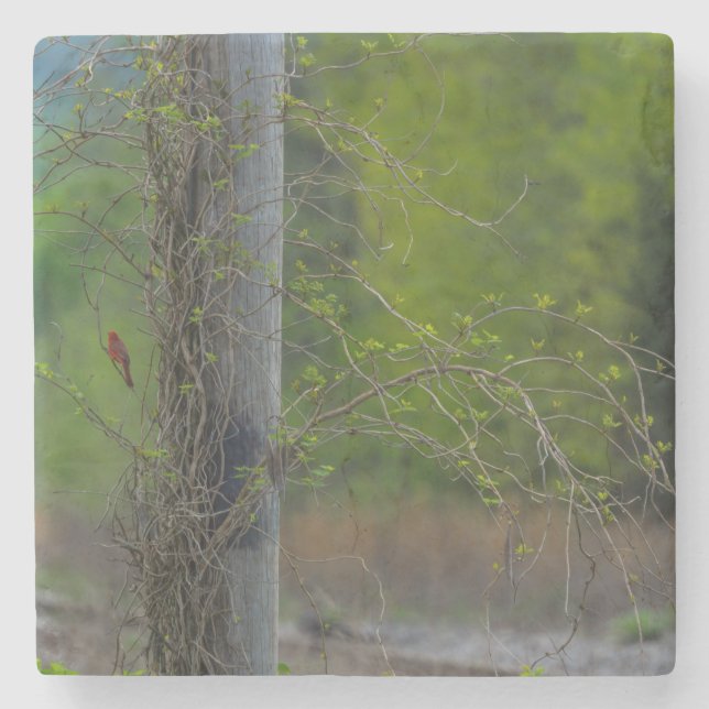 Spot Of Red Stone Coaster (Front)
