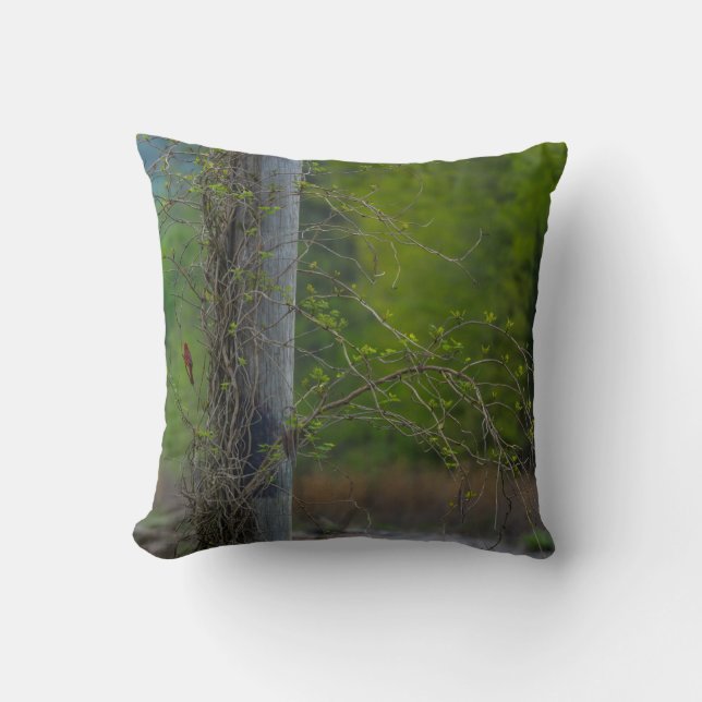 Spot Of Red Throw Pillow (Front)
