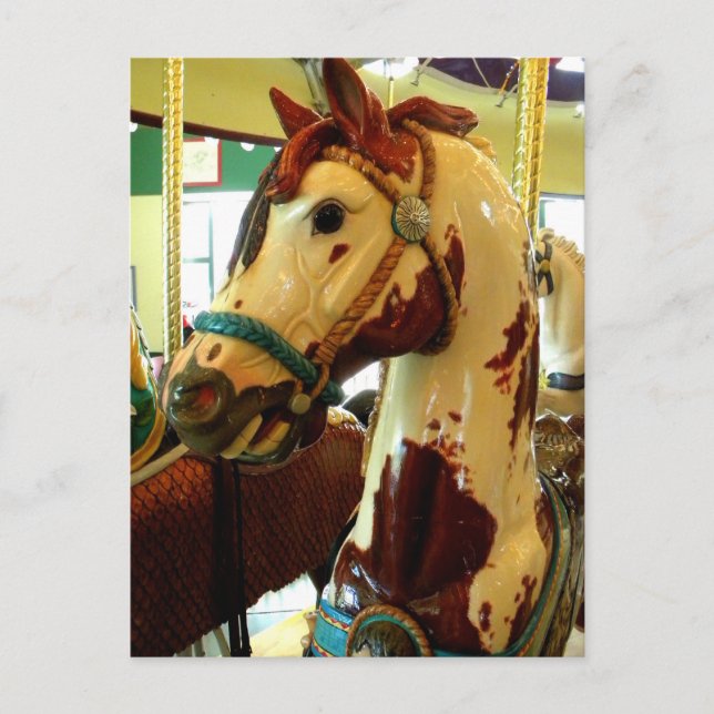 Spots Postcard (Front)