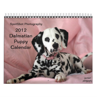 SpotShot Photography's 2012 Calendar