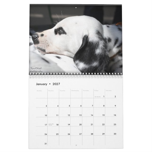 SpotShot Photography's 2012 Calendar (Jan 2027)