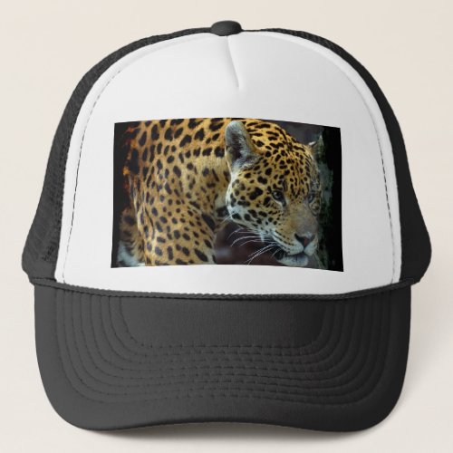 Spotted Aztec Jaguar Wildlife Big Cat Protective Trucker Hat