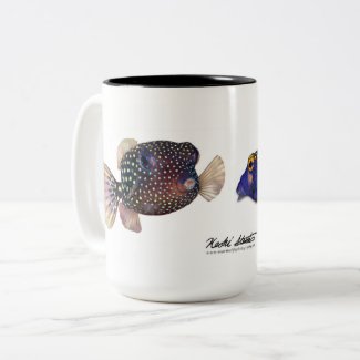 Spotted Boxfish couple, Ostracion meleagris Two-Tone Coffee Mug