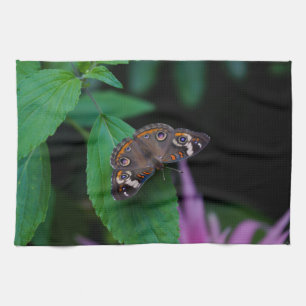 Spotted Butterfly Kitchen Towel