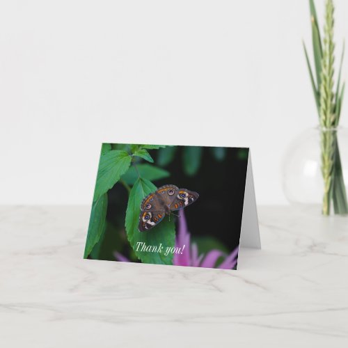 Spotted Butterfly Thank You Card